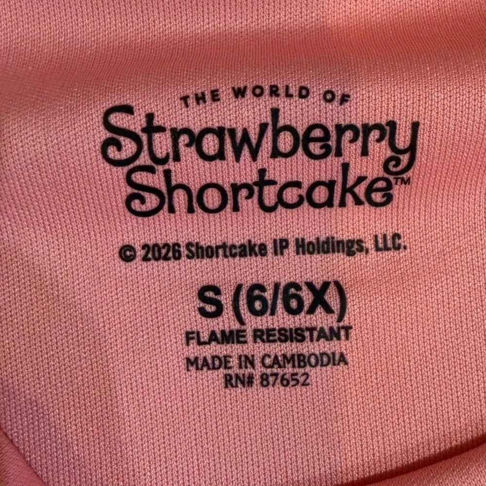 NWT Strawberry Shortcake Girls Nightgown Pink Ruffle Sleep Dress Small 6 6X NEW